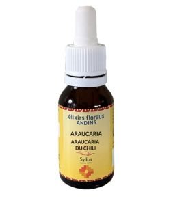 ARAUCARIA, 15 ml